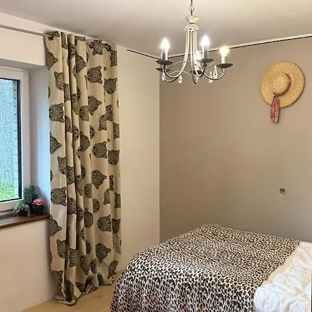 Xxl Vacation With Sauna, Paernu * Laadi