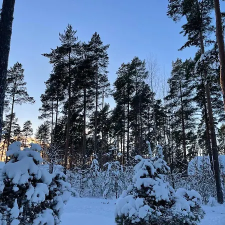 Xxl Vacation With Sauna, Paernu