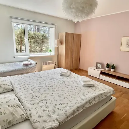 Xxl Vacation With Sauna, Paernu Laadi
