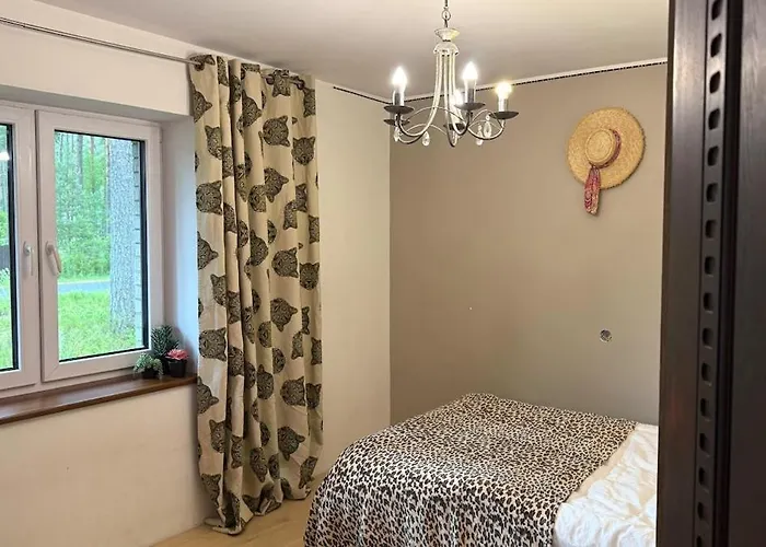 Xxl Vacation With Sauna, Paernu * Laadi