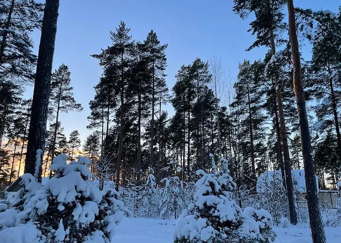 Xxl Vacation With Sauna, Paernu