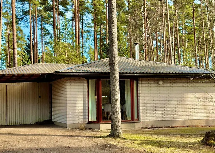 Xxl Vacation With Sauna, Paernu